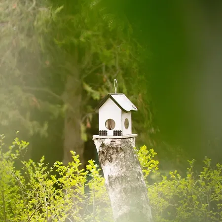 Lago Apartman Διαμέρισμα
